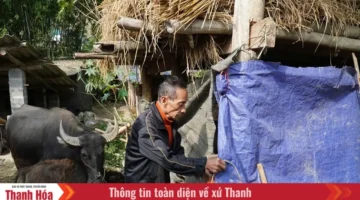 إجراءات وقائية.. مقاطعة ثانه هوا تواجه موجة الصقيع المرتقبة لحماية السكان والإنتاج